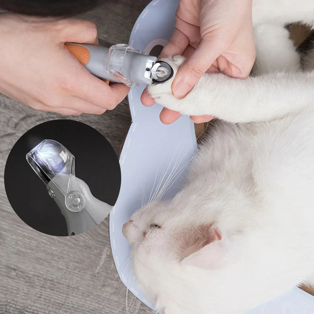 Professional Pet Nail Clipper Scissors With LED Light , Cat Dog Nail Clippers .