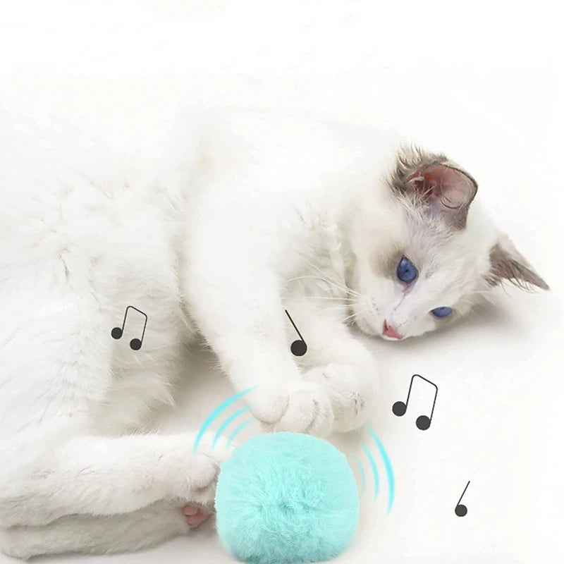 SmartPaws Interactive Toy