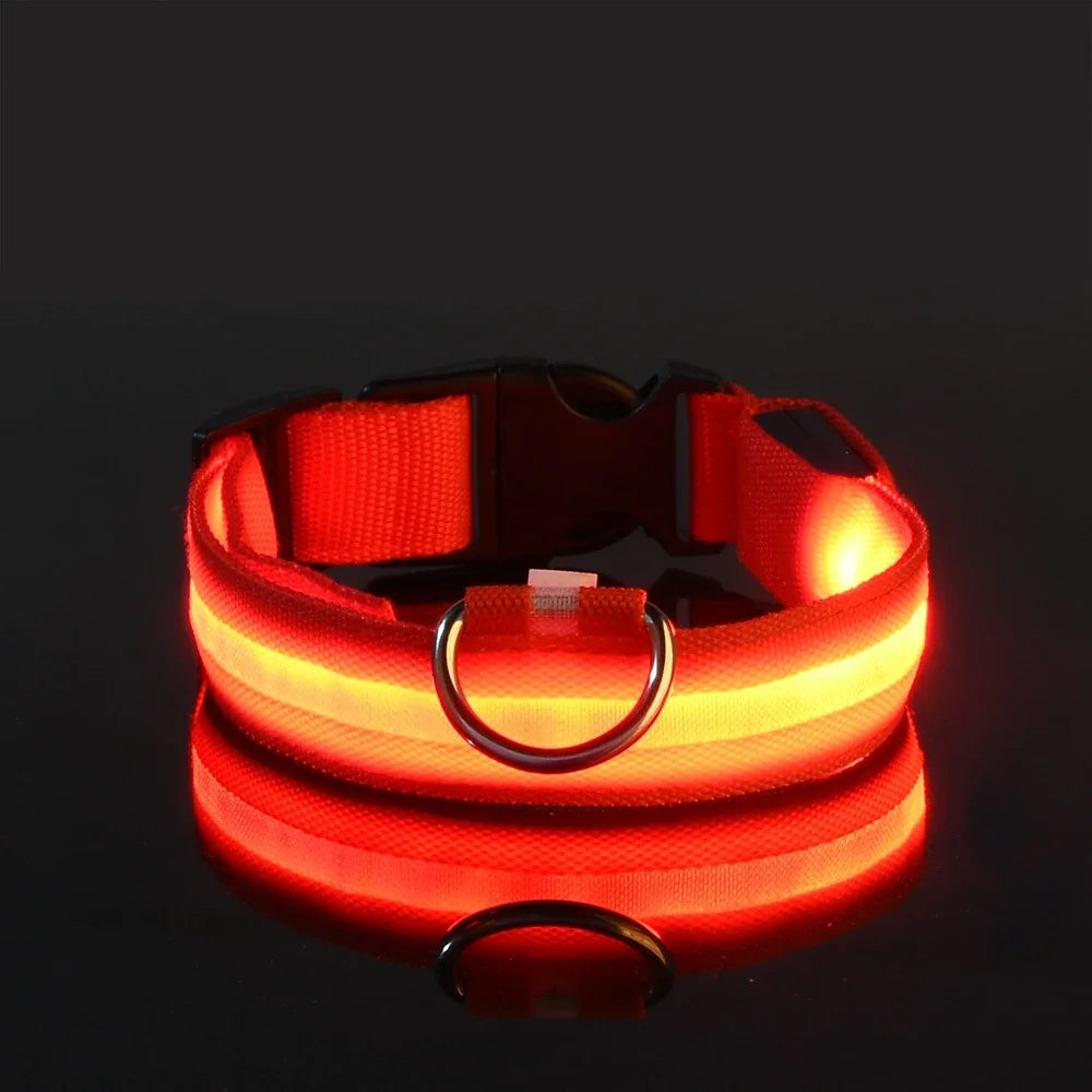 NightLite Dog Collar