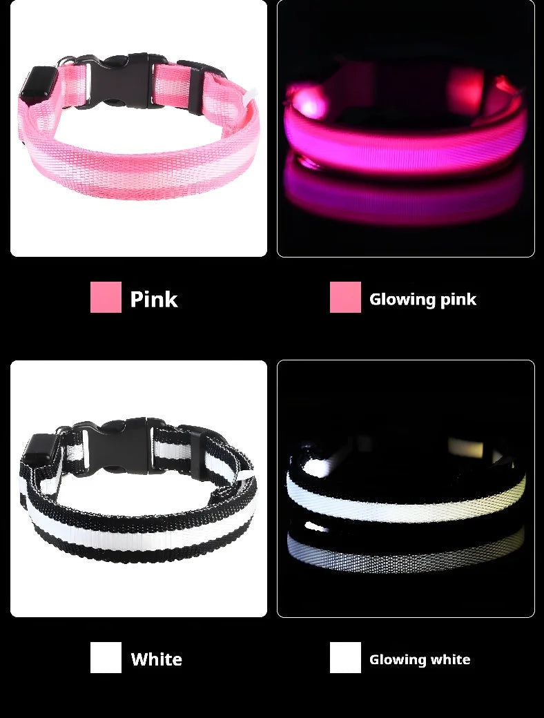 NightLite Dog Collar