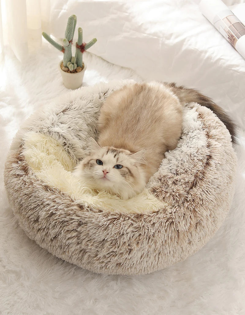 CozyPaws Nest