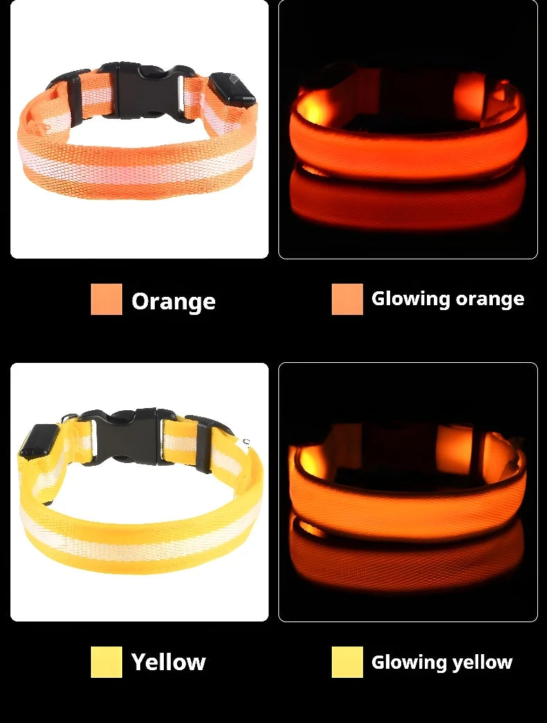 NightLite Dog Collar