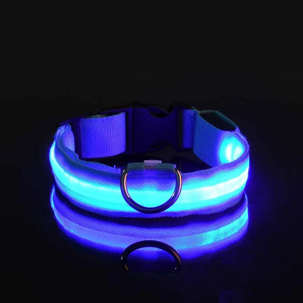 NightLite Dog Collar