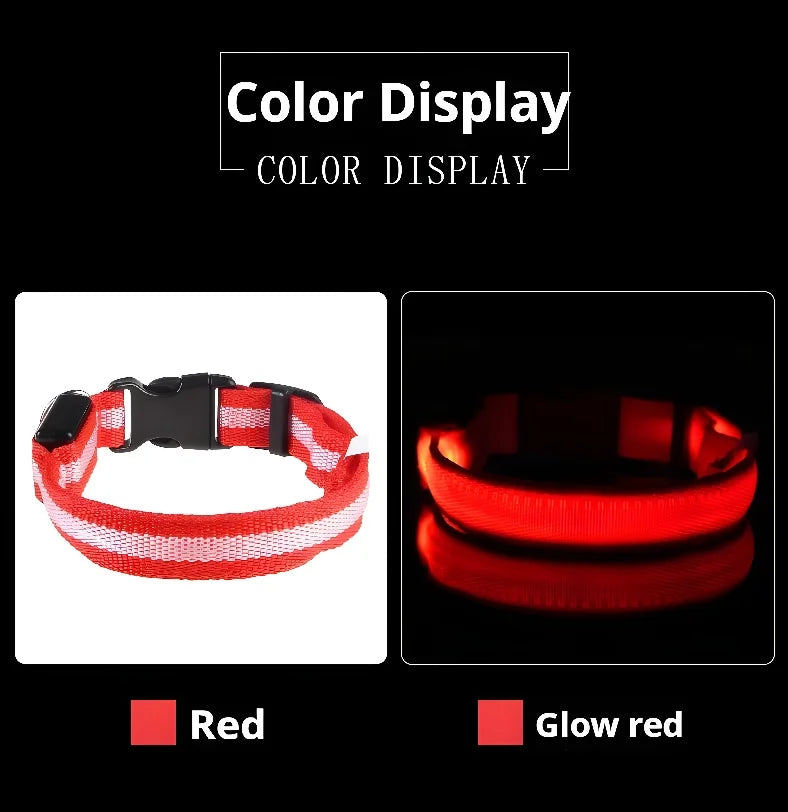 NightLite Dog Collar