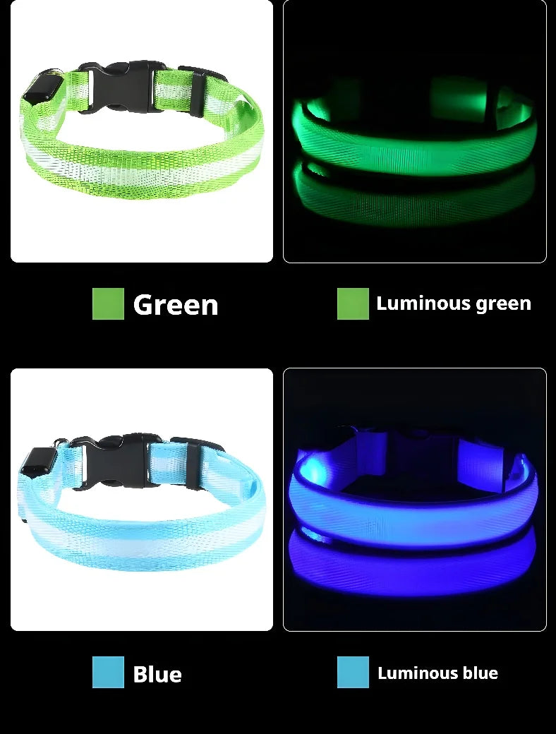 NightLite Dog Collar