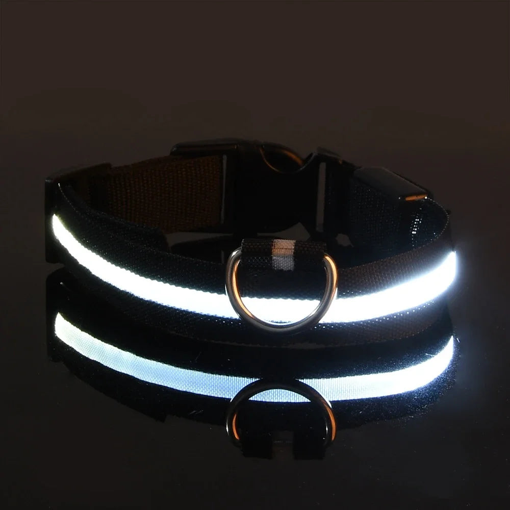 NightLite Dog Collar