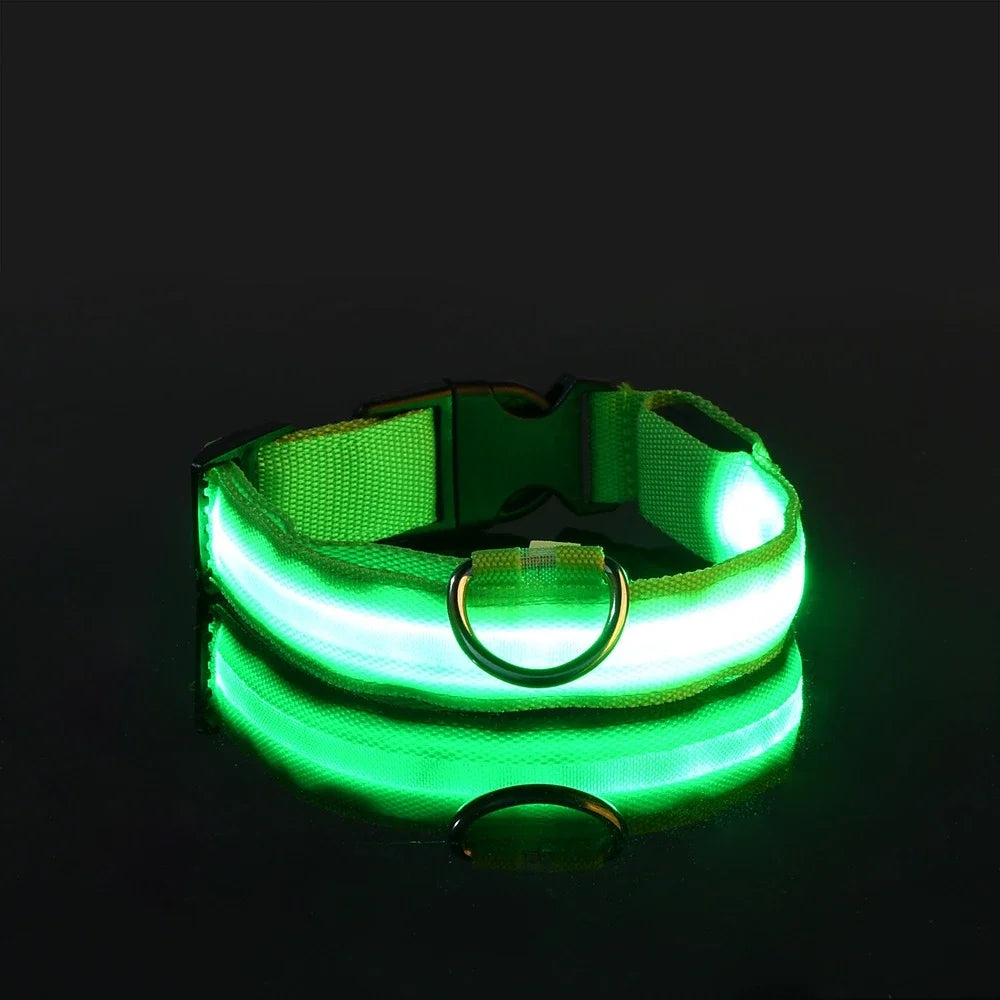 NightLite Dog Collar