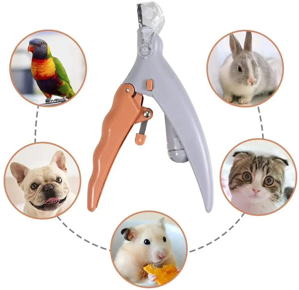 Professional Pet Nail Clipper Scissors With LED Light , Cat Dog Nail Clippers .