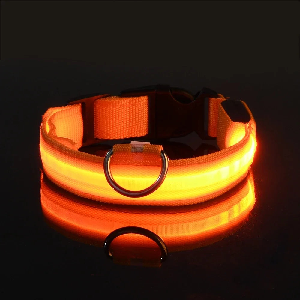 NightLite Dog Collar