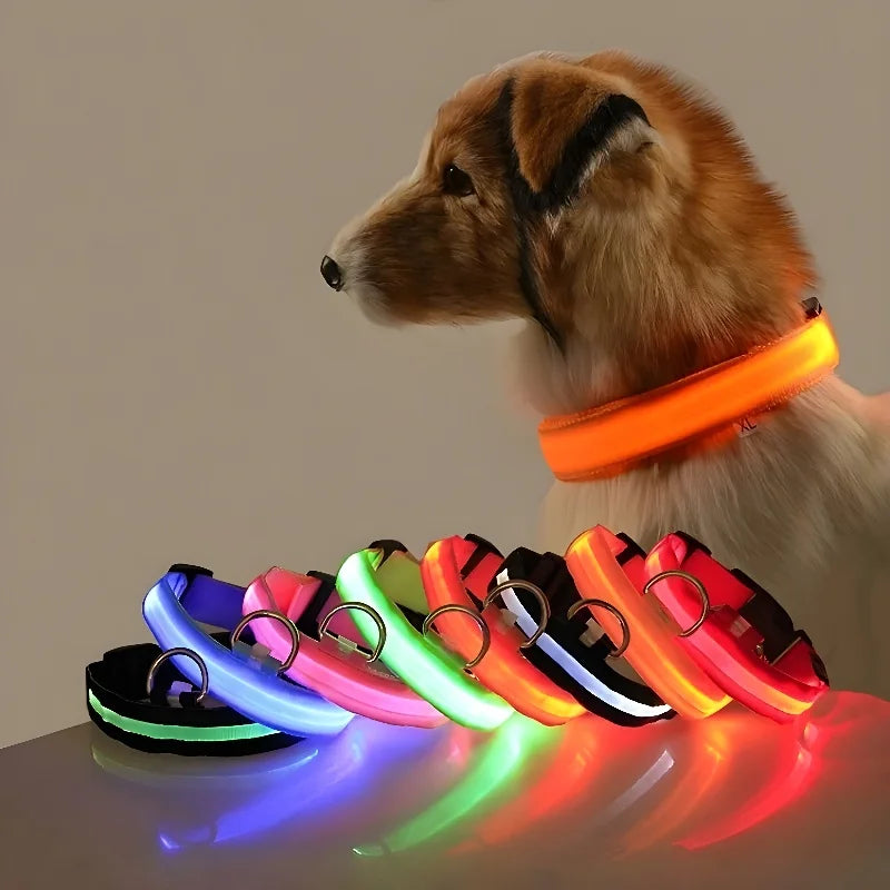 NightLite Dog Collar