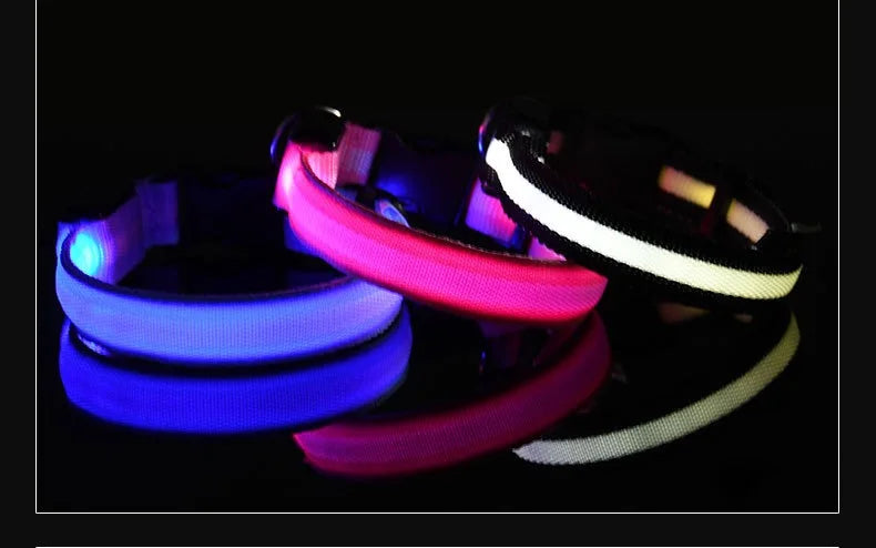 NightLite Dog Collar