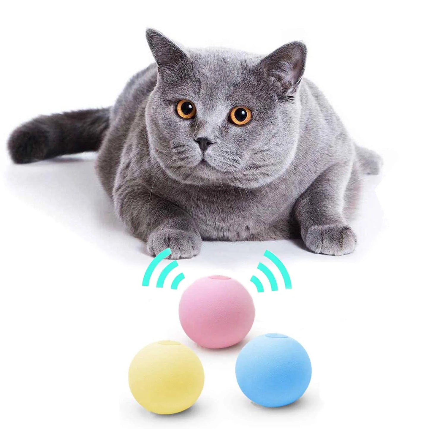 SmartPaws Interactive Toy