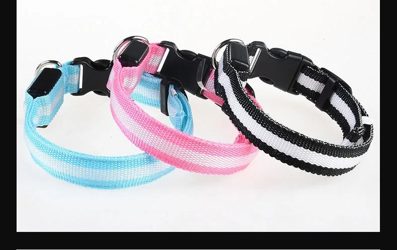 NightLite Dog Collar