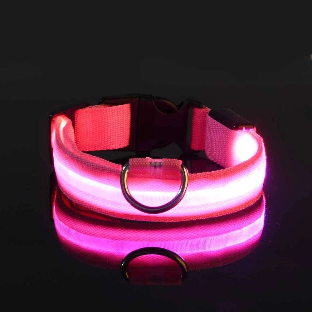 NightLite Dog Collar