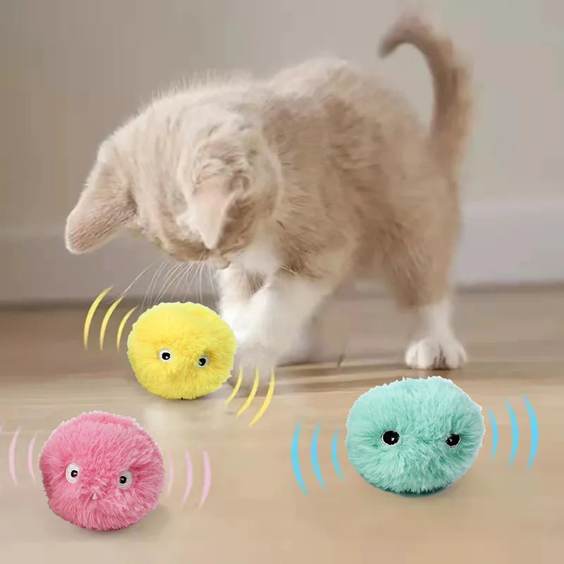 SmartPaws Interactive Toy