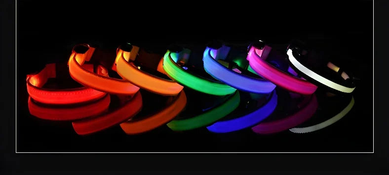 NightLite Dog Collar