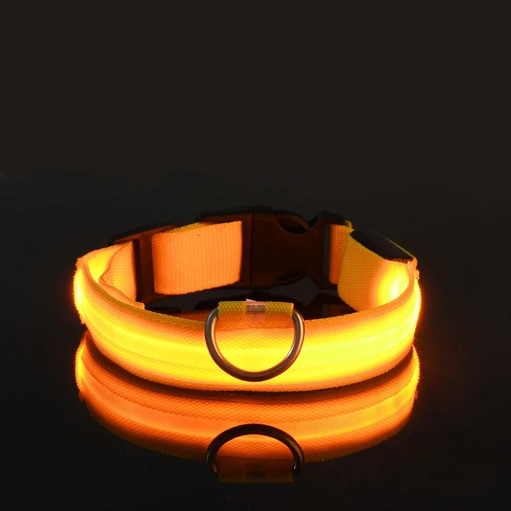 NightLite Dog Collar